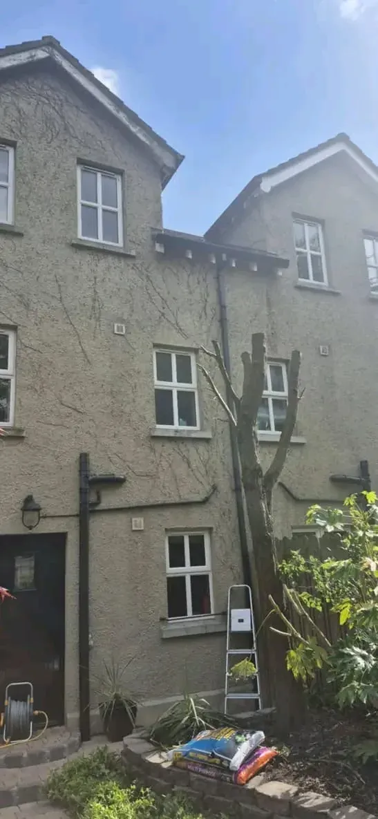 Townhouse wall and windows clear after a hard crown reduction brought the tree safely down to size