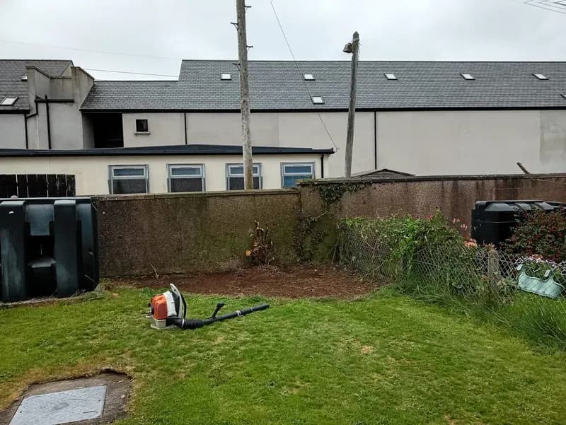 Garden wall and flower bed fully reclaimed after overgrown shrub removal and clean up