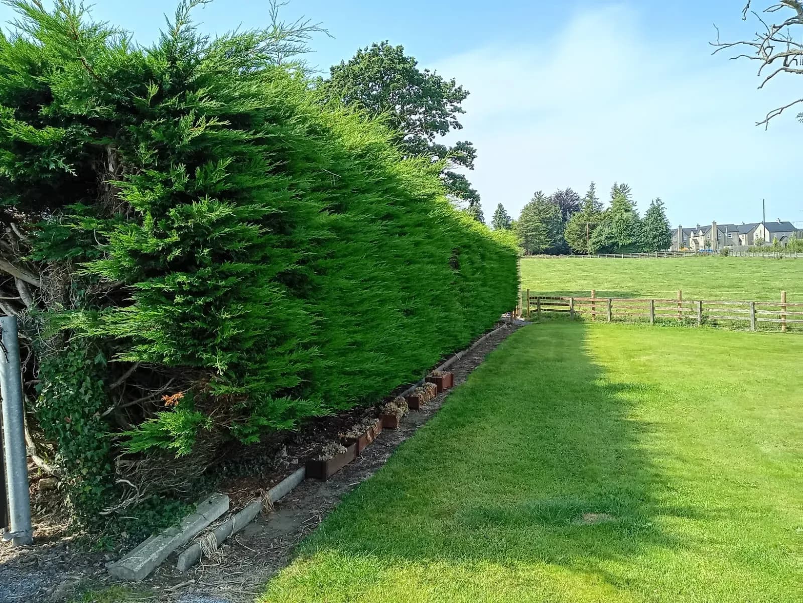 Neatly trimmed hedge and freshly cut lawn on a sunny day in the Co. Tyrone countryside
