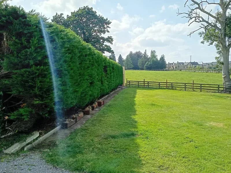 Tall leylandii hedge trimmed to a clean straight face beside a striped lawn in the Tyrone countryside