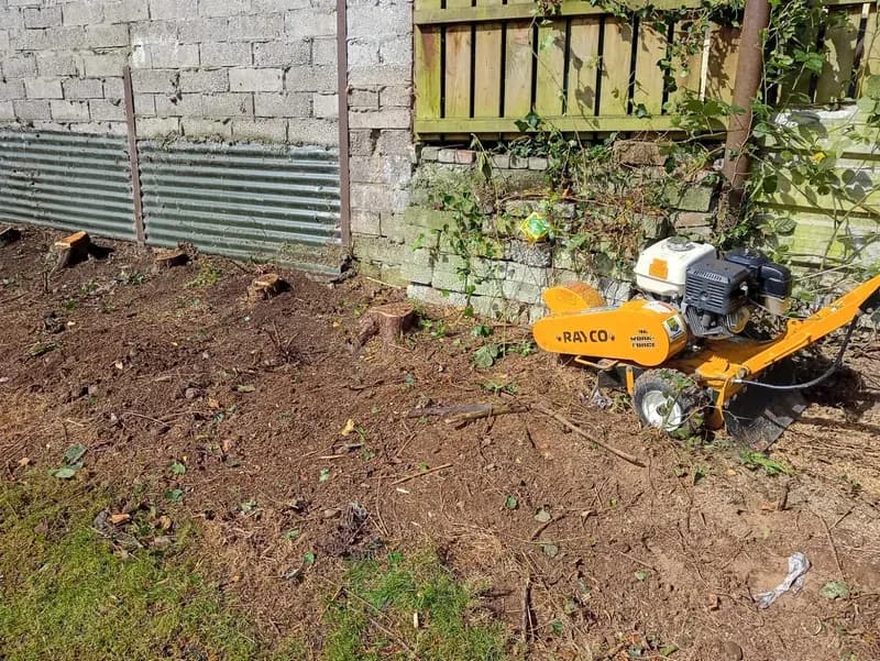 Stump grinder working along a fence line with freshly ground tree stumps